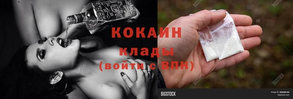 хмурый Бердск