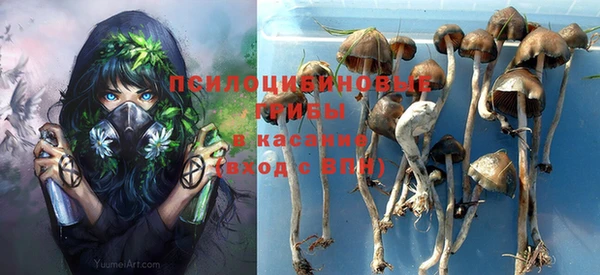 гидра Алагир