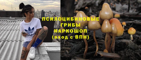 эйфоретик Видное
