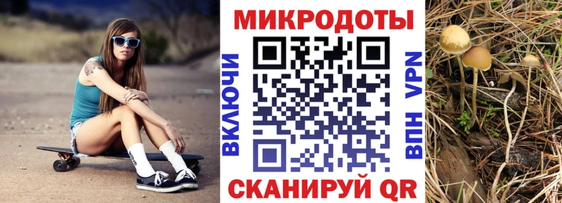 Галлюциногенные грибы мицелий  дарнет шоп  Белоярский 